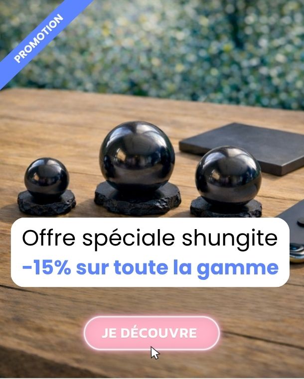 Nes offres de formation pour conseiller en environnement électromagnétique - Geotellurique.fr